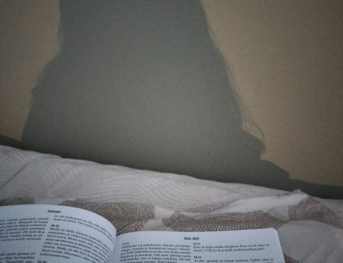 Kiitollinen opistovuodesta