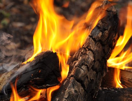 Käsivarret korkeuksia kohti