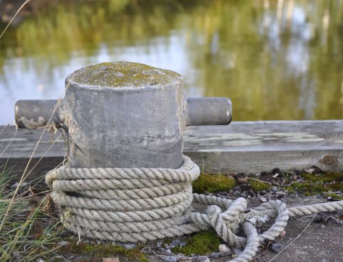 Koettelemusten keskellä