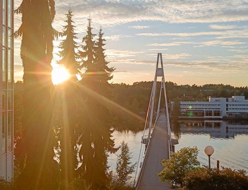 Muutokseen mukautuminen