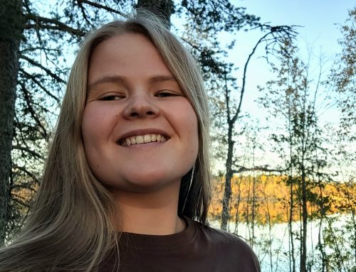 Ärsyketulvasta hiljaiseen mäntymetsään