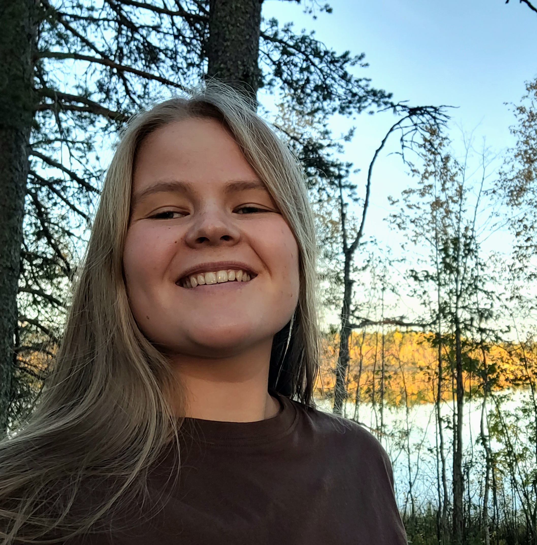 Ärsyketulvasta hiljaiseen mäntymetsään