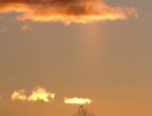 Sisältä yksinäinen