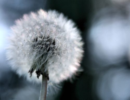 Onko herkkyys heikkous?