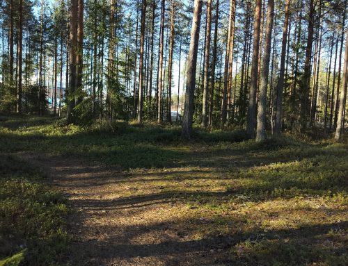 Ihan kaikesta voi selvitä